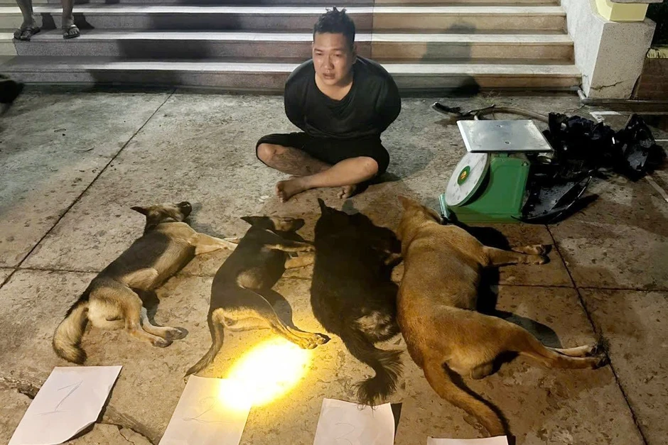 Truy bắt hai kẻ trộm chó lái xe tháo chạy trong đêm ở Tây Ninh Truy bắt hai kẻ trộm chó lái xe tháo chạy trong đêm ở Tây Ninh