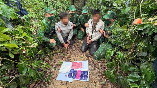Truy bắt thành công đối tượng vận chuyển ma tuý trái phép Truy bắt thành công đối tượng vận chuyển ma tuý trái phép
