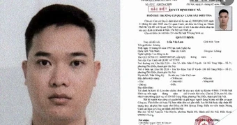 Truy nã nam quản lý giúp Mr Pips lừa đảo