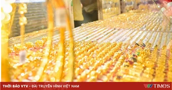 Truy tố nhân viên môi giới vàng lừa đảo chiếm đoạt hàng chục tỷ đồng