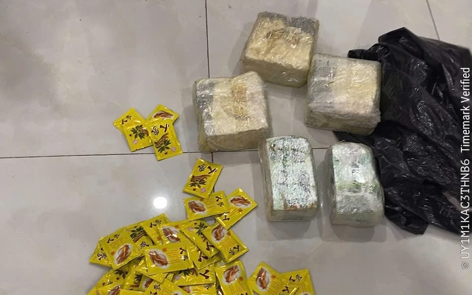 Từ 1 con nghiện, Công an TP.HCM triệt phá đường dây ma tuý, bắt giữ 140 người Từ 1 con nghiện, Công an TP.HCM triệt phá đường dây ma tuý, bắt giữ 140 người