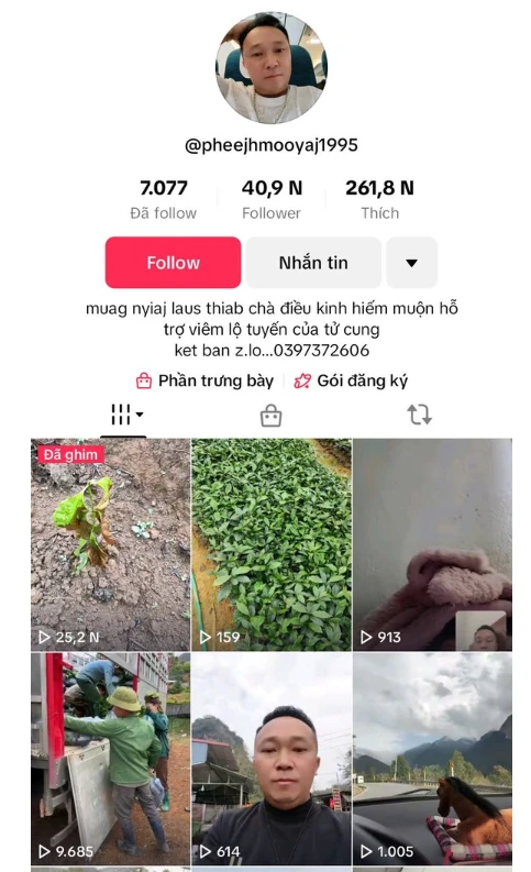 Tự hái cây rừng trộn bán thành “thuốc chữa bệnh”, hai người ở Điện Biên bị khởi tố Tự hái cây rừng trộn bán thành “thuốc chữa bệnh”, hai người ở Điện Biên bị khởi tố