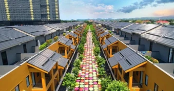 Từ tố giác của cô gái Mỹ, thanh niên 23 tuổi bị khởi tố về tội Hiếp dâm