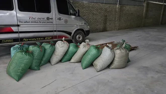 Tuyên phạt tổng 16 năm tù cho 2 đối tượng buôn bán gần 1 tấn vẩy tê tê châu Phi Tuyên phạt tổng 16 năm tù cho 2 đối tượng buôn bán gần 1 tấn vẩy tê tê châu Phi