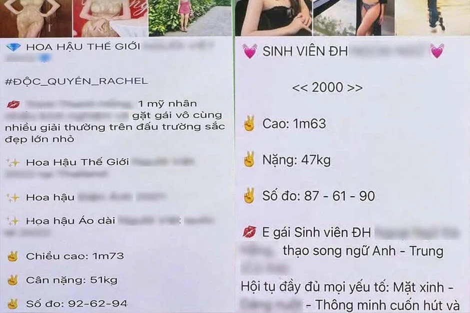 Vẽ 'hồ sơ hoa hậu' để dụ khách trả sex tour giá 150 triệu đồng Vẽ 'hồ sơ hoa hậu' để dụ khách trả sex tour giá 150 triệu đồng