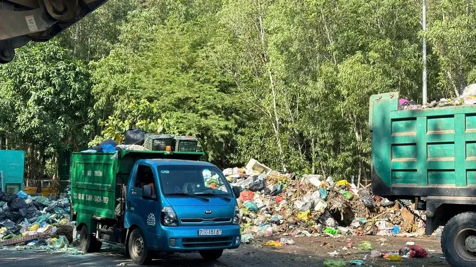 Vi phạm môi trường ở mức nào thì bị xử lý hình sự?