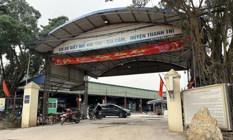 Vì sao 3.600 lợn bệnh được hợp thức hóa từ lò mổ để đưa ra thị trường?