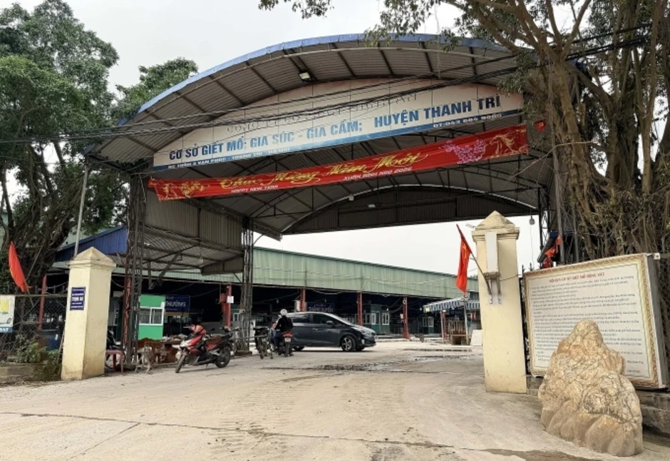 Vì sao 3.600 lợn bệnh được hợp thức hóa từ lò mổ để đưa ra thị trường? Vì sao 3.600 lợn bệnh được hợp thức hóa từ lò mổ để đưa ra thị trường?