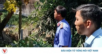Viện kiểm sát vào cuộc vụ trại chăn nuôi gây ô nhiễm sau phản ánh của TinVina