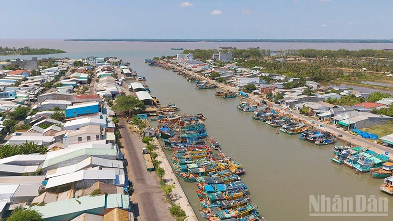 Vĩnh Long phòng, chống khai thác hải sản bất hợp pháp Vĩnh Long phòng, chống khai thác hải sản bất hợp pháp