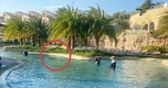 Vụ bé 11 tuổi người Nhật tử vong ở hồ bơi tại resort: Khởi tố bị can Nguyễn Quốc Quân SN 1961