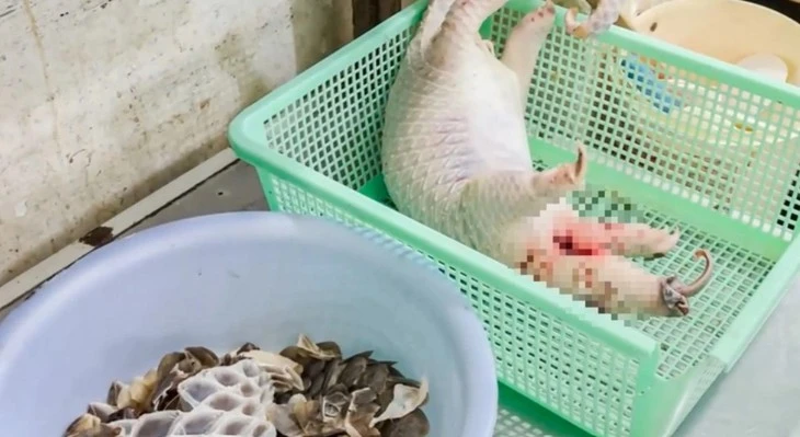 Vụ nhà hàng mua tê tê, xẻ thịt phục vụ thực khách: Khởi tố thêm chồng của chủ nhà hàng