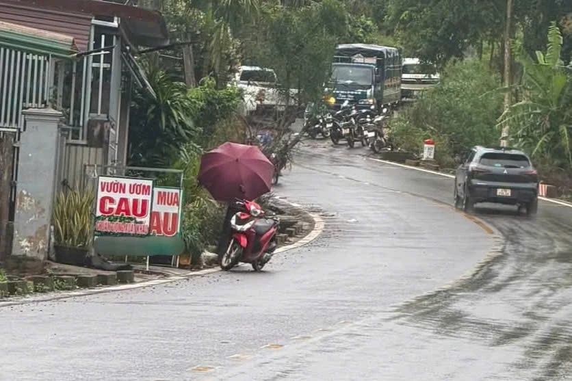 Vụ nữ nhân viên trường học mất tích: Thi thể được tìm thấy ở rẫy cà phê Vụ nữ nhân viên trường học mất tích: Thi thể được tìm thấy ở rẫy cà phê