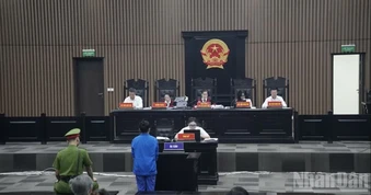 Vụ "vẽ" dự án sâm Ngọc Linh: Trả lại hồ sơ để điều tra bổ sung
