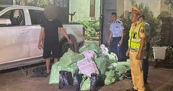 Xe chở 220 bình khí cười vào Quảng Ninh tiêu thụ bị CSGT chặn đứng