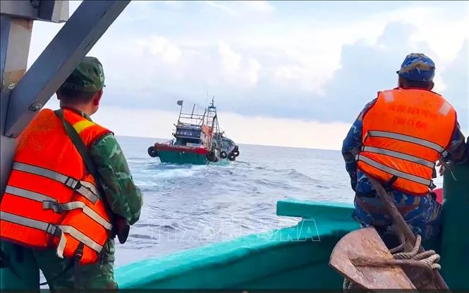 Xử lý tàu cá vận chuyển hơn 31.000 lít dầu không rõ nguồn gốc Xử lý tàu cá vận chuyển hơn 31.000 lít dầu không rõ nguồn gốc