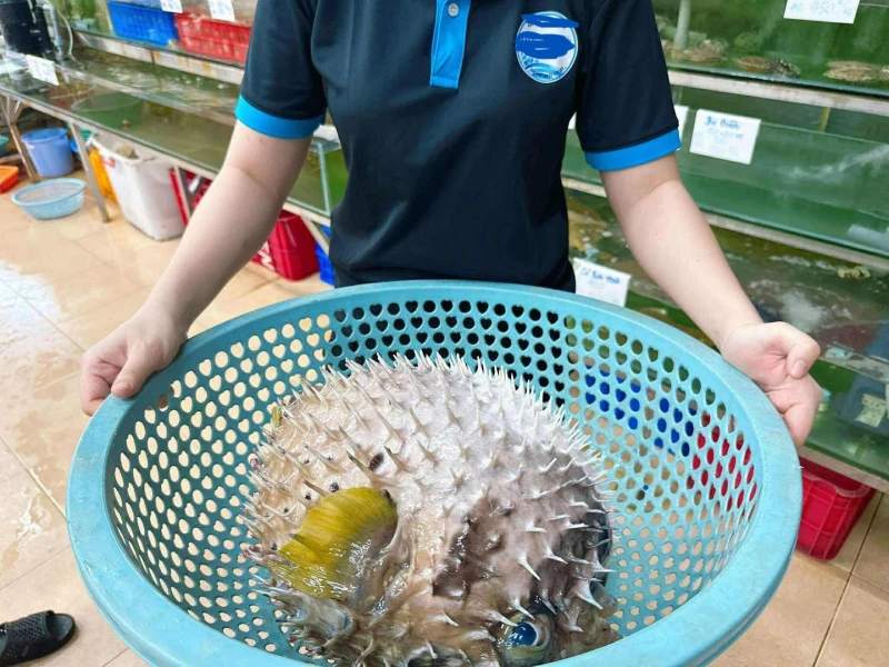 “Thần y mạng” chữa bệnh bằng độc dược “Thần y mạng” chữa bệnh bằng độc dược
