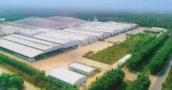 1.001 chuyện cây sắn và ethanol: Đến thủ phủ của sắn