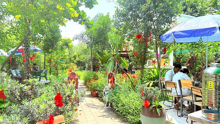 Ăn cơm miễn phí giữa vườn cây trong bệnh viện