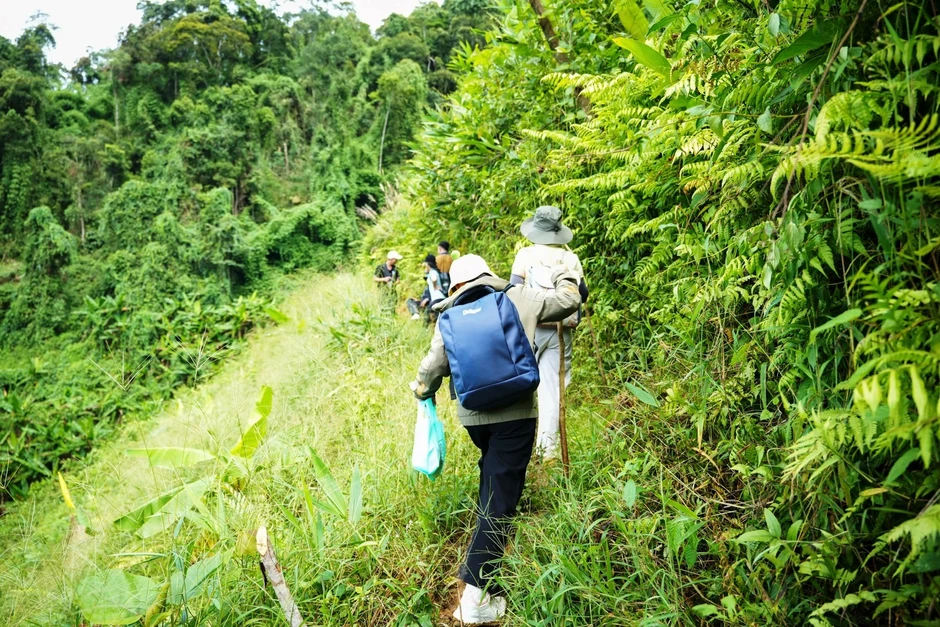 Aur bừng sáng giữa đại ngàn Aur bừng sáng giữa đại ngàn