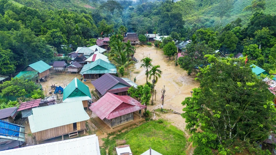 Aur bừng sáng giữa đại ngàn Aur bừng sáng giữa đại ngàn