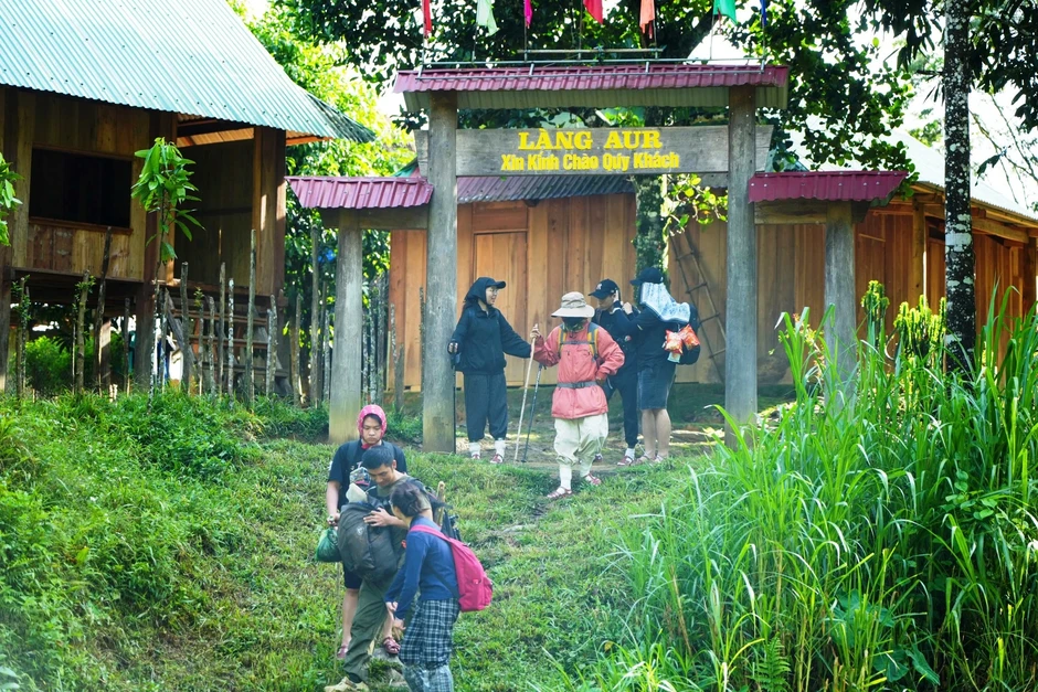 Aur bừng sáng giữa đại ngàn Aur bừng sáng giữa đại ngàn