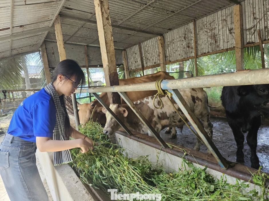 Bài 1: Sinh viên tình nguyện truyền cảm hứng cho nông dân Bài 1: Sinh viên tình nguyện truyền cảm hứng cho nông dân