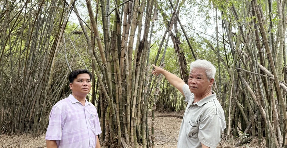 Bảo tồn vườn chim Vĩnh Phước: Hành trình 32 năm độc nhất của cựu chiến binh U.80 Bảo tồn vườn chim Vĩnh Phước: Hành trình 32 năm độc nhất của cựu chiến binh U.80