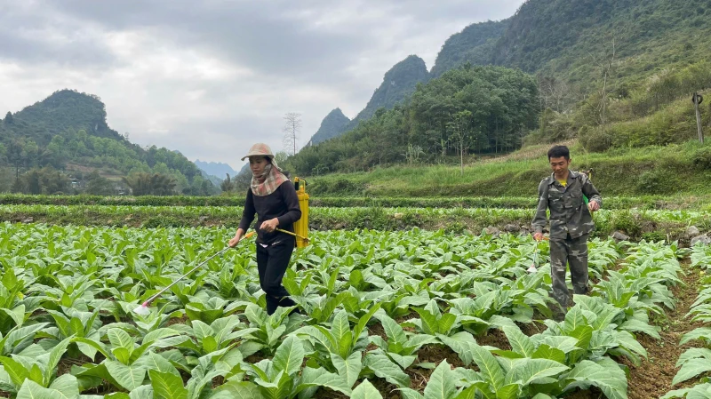Cần Yên vững vàng nơi phên giậu Tổ quốc Cần Yên vững vàng nơi phên giậu Tổ quốc