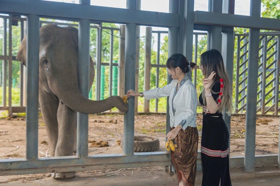 Chàng trai Việt - Lào 'thắp lửa' du lịch Buôn Đôn Chàng trai Việt - Lào 'thắp lửa' du lịch Buôn Đôn