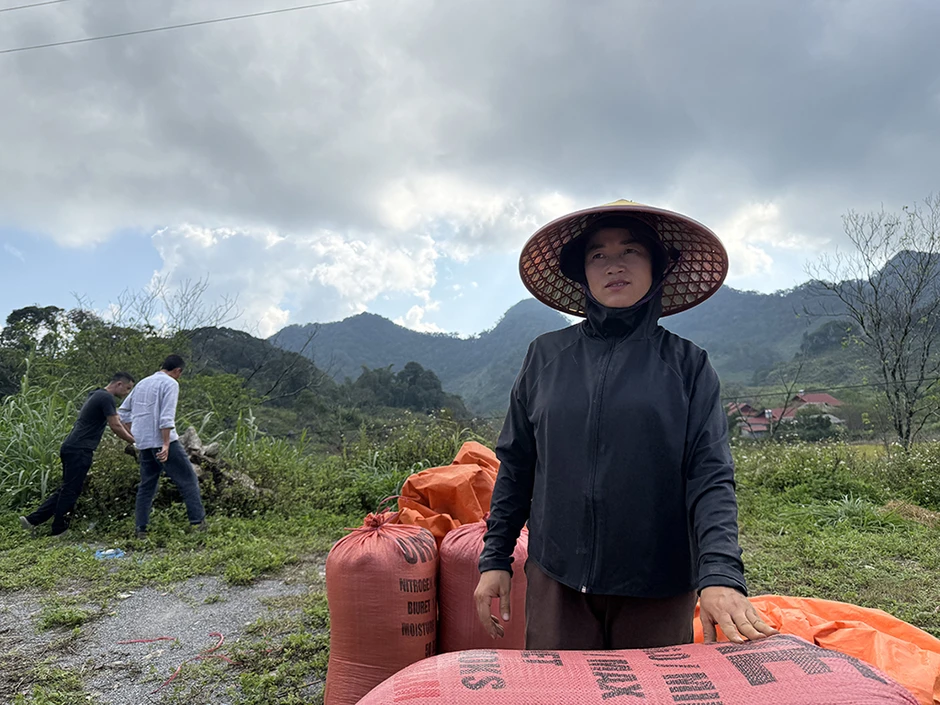 Chặt cành búp tím, bỏ quên Pà Cò Chặt cành búp tím, bỏ quên Pà Cò