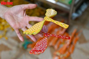 Chuồn chuồn tre ‘lên mạng’