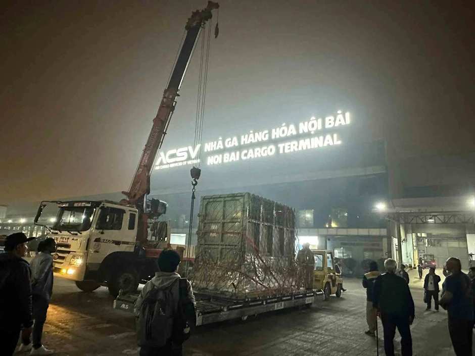 Chuyến hồi hương 'chưa từng có' của cá thể voi Lào Chuyến hồi hương 'chưa từng có' của cá thể voi Lào