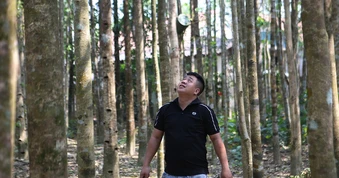 Để hương trầm bay xa