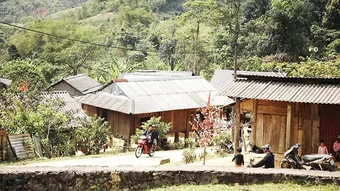 Đi trong sương giá biên thùy