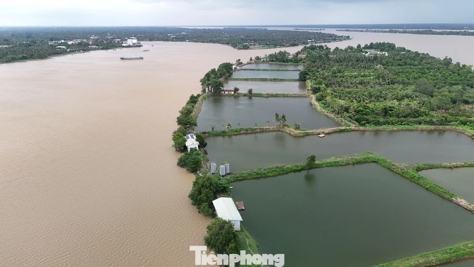 Đồng bằng sông Cửu Long 'teo tóp' trước ‘hà bá’ Đồng bằng sông Cửu Long 'teo tóp' trước ‘hà bá’
