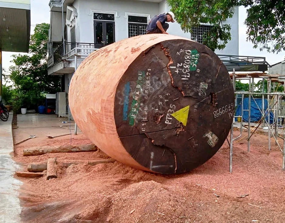 Gia tộc 8 đời làm trống khổng lồ Gia tộc 8 đời làm trống khổng lồ