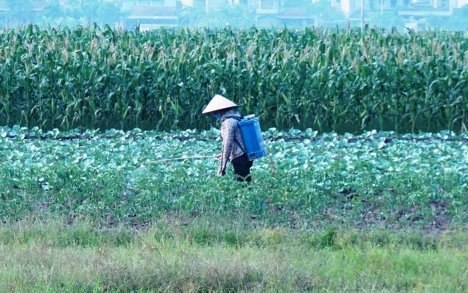 Hiểm họa từ “cái chết từ từ” Hiểm họa từ “cái chết từ từ”