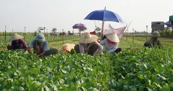 Hiểm họa từ “cái chết từ từ”