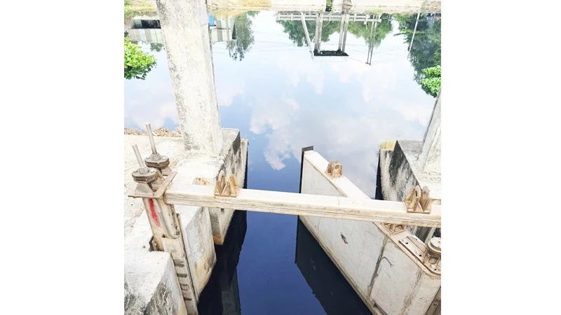 Khu công nghiệp hơn 20 năm "bức tử" môi trường (kỳ 1) Khu công nghiệp hơn 20 năm "bức tử" môi trường (kỳ 1)