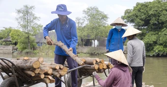 Lênh đênh chợ củi Ngã Bảy