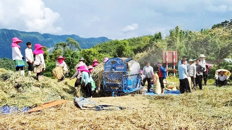 Lửa đỏ bên dòng Ninh Cơ Lửa đỏ bên dòng Ninh Cơ