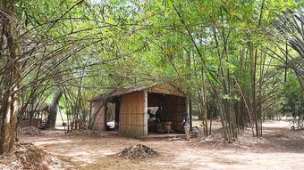 Mảnh hồn làng treo bên phố (kỳ 3)