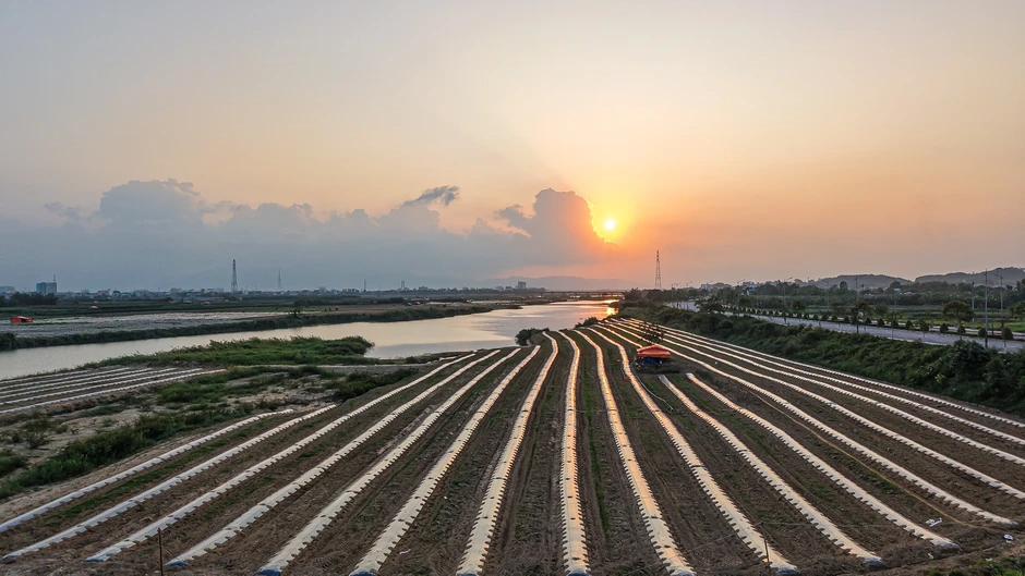 Mưu sinh trên sông Trà: Đời nông dân 'du mục' Mưu sinh trên sông Trà: Đời nông dân 'du mục'