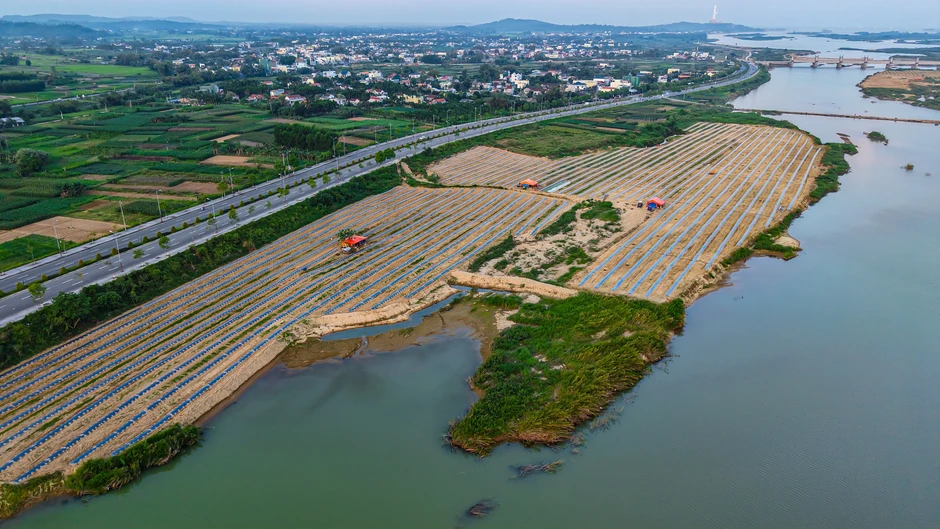 Mưu sinh trên sông Trà: Đời nông dân 'du mục' Mưu sinh trên sông Trà: Đời nông dân 'du mục'