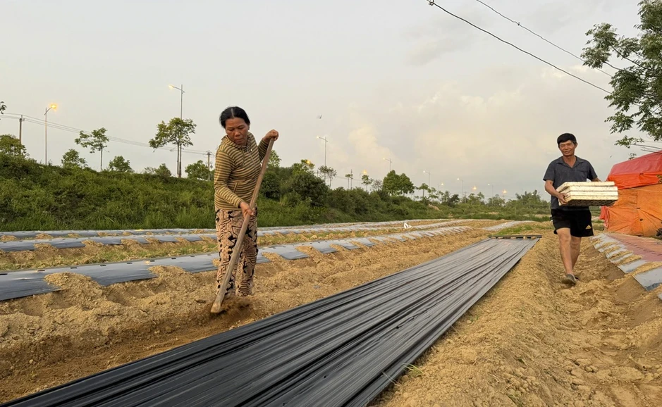 Mưu sinh trên sông Trà: Đời nông dân 'du mục' Mưu sinh trên sông Trà: Đời nông dân 'du mục'