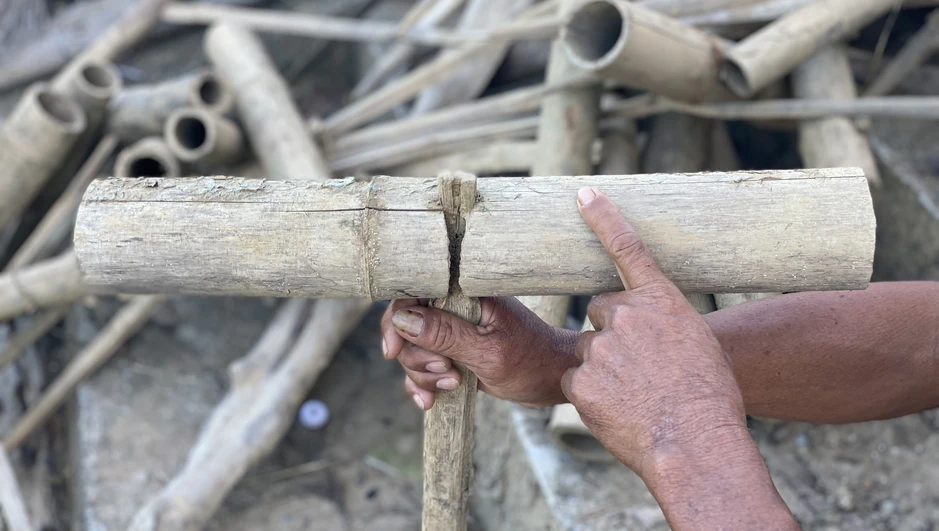 Mưu sinh trên sông Trà: Săn cá bống bằng ống tre Mưu sinh trên sông Trà: Săn cá bống bằng ống tre