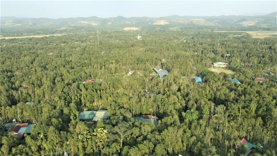 Nghề trầm dưới dãy Trường Sơn: Từ linh khí đại ngàn đến báu vật trong vườn nhà Nghề trầm dưới dãy Trường Sơn: Từ linh khí đại ngàn đến báu vật trong vườn nhà
