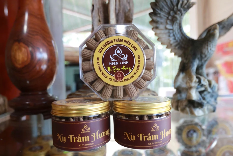 Nghề trầm dưới dãy Trường Sơn: Từ linh khí đại ngàn đến báu vật trong vườn nhà Nghề trầm dưới dãy Trường Sơn: Từ linh khí đại ngàn đến báu vật trong vườn nhà