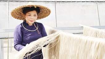 Người phụ nữ Tày đưa miến dong vượt đại dương